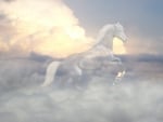 The Spirit of the White Horse