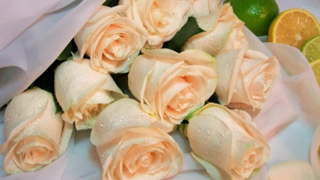 Peach Roses