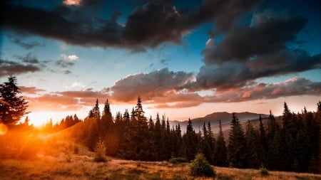 sun rays at a beautiful sunrise - forest, mountains, clouds, rays, sunrise