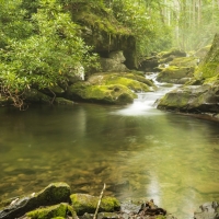 Great Smoky Mountains National Park