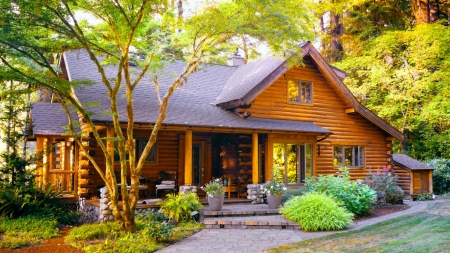 House In The Woods - trees, forest, photography, architecture, colorful, house