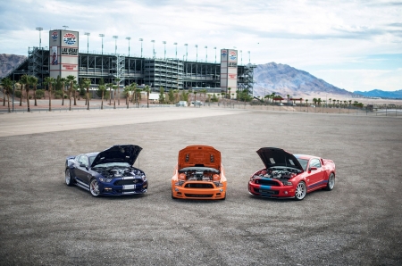 Dream Garage: Darroll Meyers Owns Not 1 but 3 Rare Shelby Mustangs - Super Snakes, Red, Orange, Fords, Blue