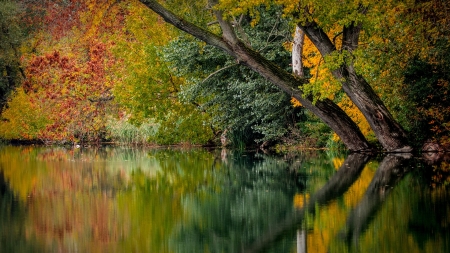 Autumn Colors - nature, lake, reflection, beautiful, colors, forrest