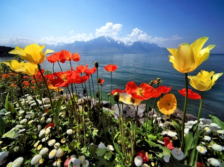 Lakeside in Spring - flowers, tulips, blossoms, poppies, mountains