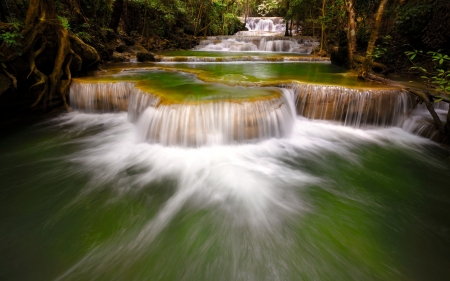 In the forest - water, nature, waterfall, tree