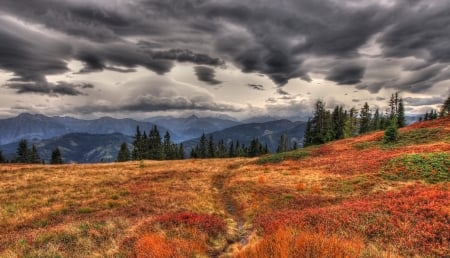 Dark Clouds - cloud, nature, land, dark