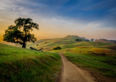 Country Road - road, sunset, country, beautiful