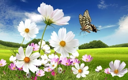 Flowers and Butterfly