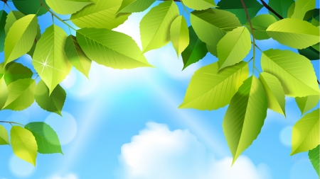 Sunlight Through Leaves - clouds, sunlight, summer, sunbeams, spring, leaves, fresh, green, sky