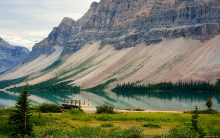 Bow lake - alberta, lake, mountain, national park, bow lake, rocks, serenity, reflection, tranquil, mirror, beautiful, canada, grass, cliffs