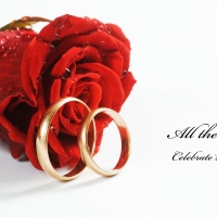 rings and red rose