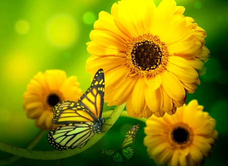 Flowers and Butterfly - nature, butterfly, flowers, pretty