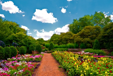 Flowers in the Park