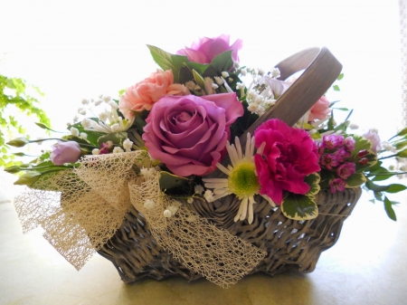 Basket of Roses - ribbon, basket, ross, red