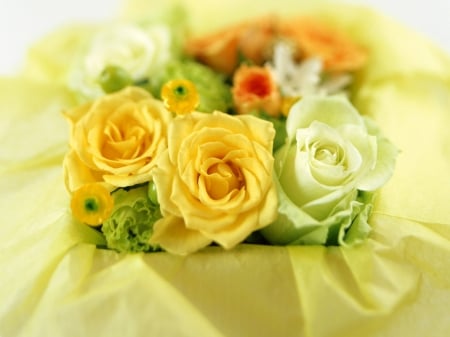 Elegant Roses - green, bouquet, yellow, roses