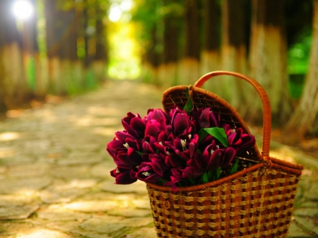 Roses in the basket - basket, flowers, roses, red