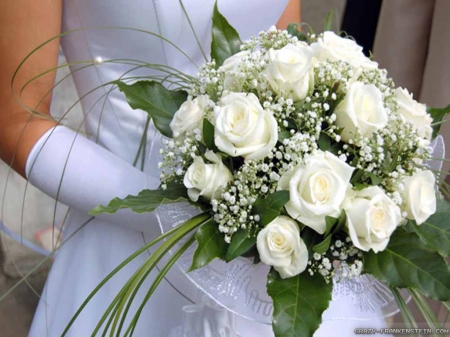 White Rose Bouquet - flowers, bride, model, White rose