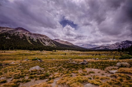 Field of Bones, Yosemite NP - california, sky, usa, landscape, clouds