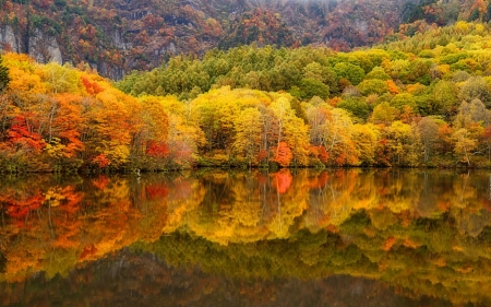 Lake Forest - trees, nature, autumn, beauty, lake, forest, reflection