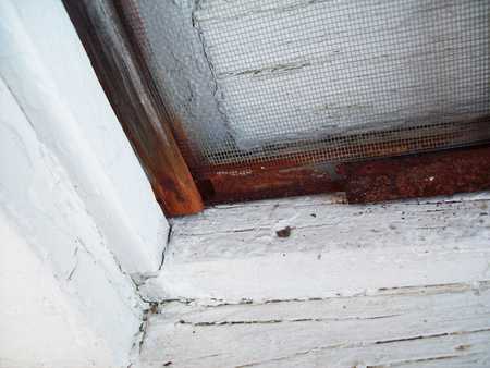 Hidden Lady Bug - stone, white, wood, dirt, lady bug, church, rust