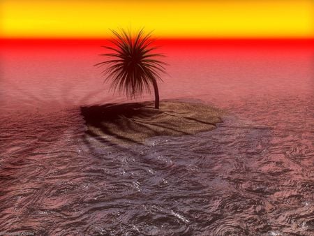 3d sunset - 3d palm, 3d, nature