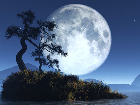 Big moon - moon, night, tree, blue