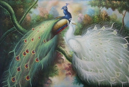 peacock oil painting - teal, oil painting, bird, canvas, painting, white, oil, peafowls, art, peacocks, paintings, color, birds