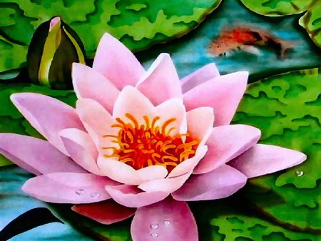 Water Lily Pond - lake, water lily, water, fish, pond, flower