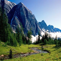 National Park Alberta Canada