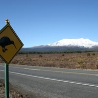 Nature, New Zealand