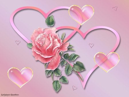 In The Pink - rose, flower, love, heart