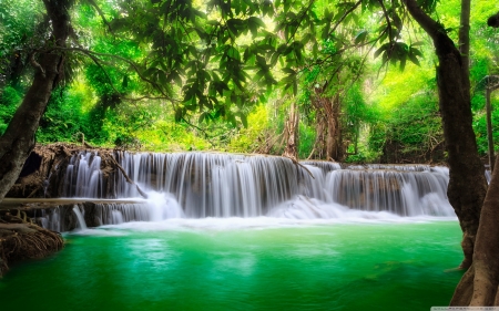 Welcome to paradise - trees, water, nature, waterfall, green, paradise