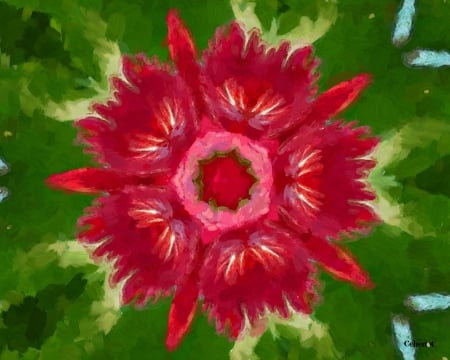 Abstract flower - red, flower, texture, by cehenot, painting, abstract, art, green