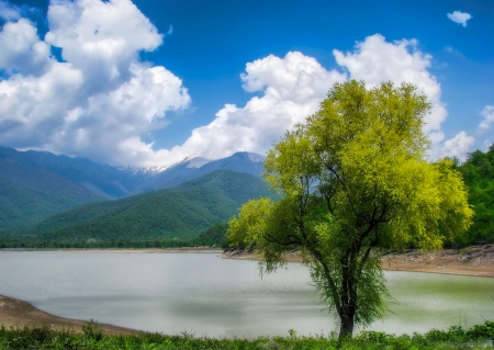 lake - clouds, lake, nature, tree