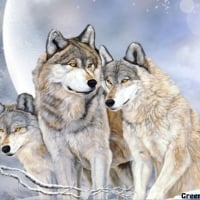 THREE WOLVES