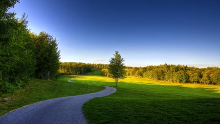 Country Road - road, country, nature, beautiful