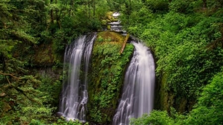 Waterfalls - waterfalls, tree, forest, water