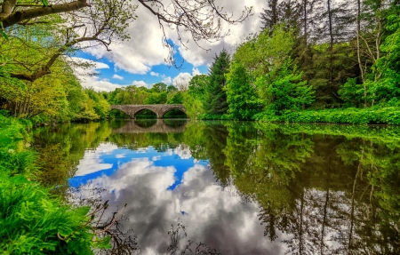 Bridge over river - forest, tranquility, greenery, beautiful, bridge, serenity, lake, sky, river, trees