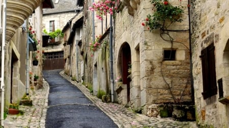 Street - flowers, street, photography, houses, architecture