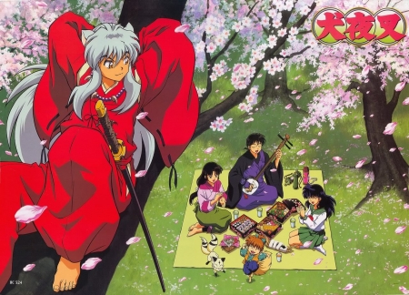 InuYasha - Naruto Shippuden, Dragon Ball Super, Persona 4, Bleach