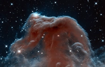 The Horsehead Nebula in Infrared from Hubble - space, fun, stars, cool, galaxy, nebula