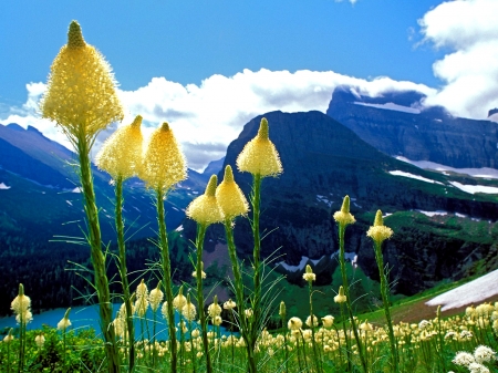 Grinnell-Lake-(Montana) - Montana, Lake, Nature, Flowers