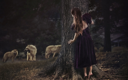 Hidding - girl, trees, hide, wolves