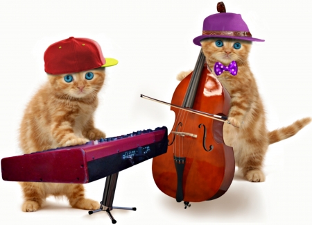 The Kittens - cello, hat, music, instrument, fantasy, white, piano, purple, cute, couple, cat, pisica, creative, kitten, bow, red, animal