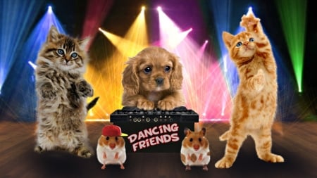 Dancing Friends Band - hamster, cat, puppy, dance, band, funny, pisica, creative, fantasy, kitten, caine, dog, animal, cute