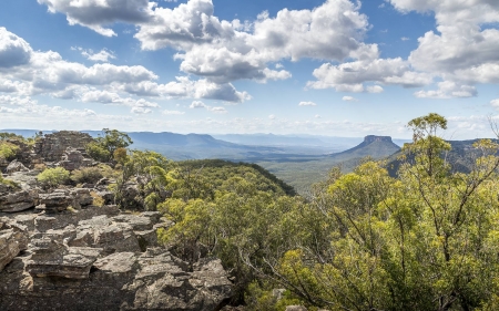 Blue Mountains - fun, nature, forest, mountains, cool