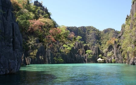 philippines - philippines, lagoon, tree, cliff