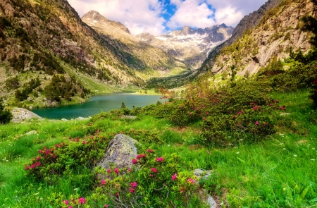 Mountain beauty - lake, landscape, hills, mountain, greenery, summer, rocks, beautiful, grass, wildflowers