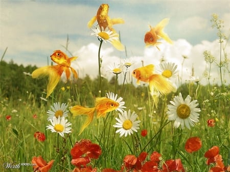 Butterfish - poppy, daisy, flower, creative, fantasy, worth1000, funny, red, green, field, golden, fish