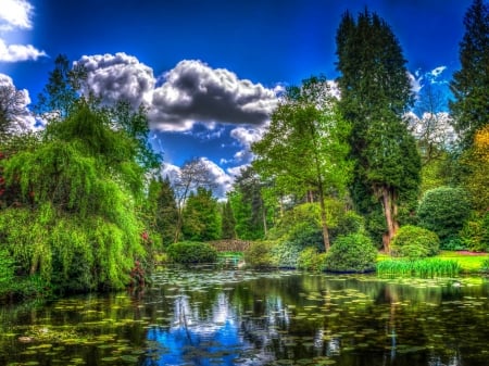 Green Park - nature, trees, clouds, park, green, pond, garden, bushes